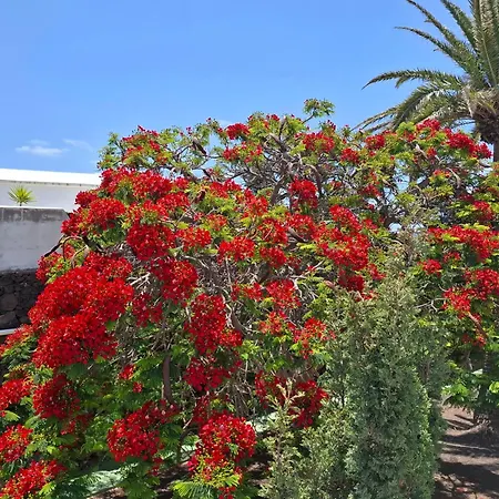Loma Apartment Puerto del Carmen (Lanzarote)